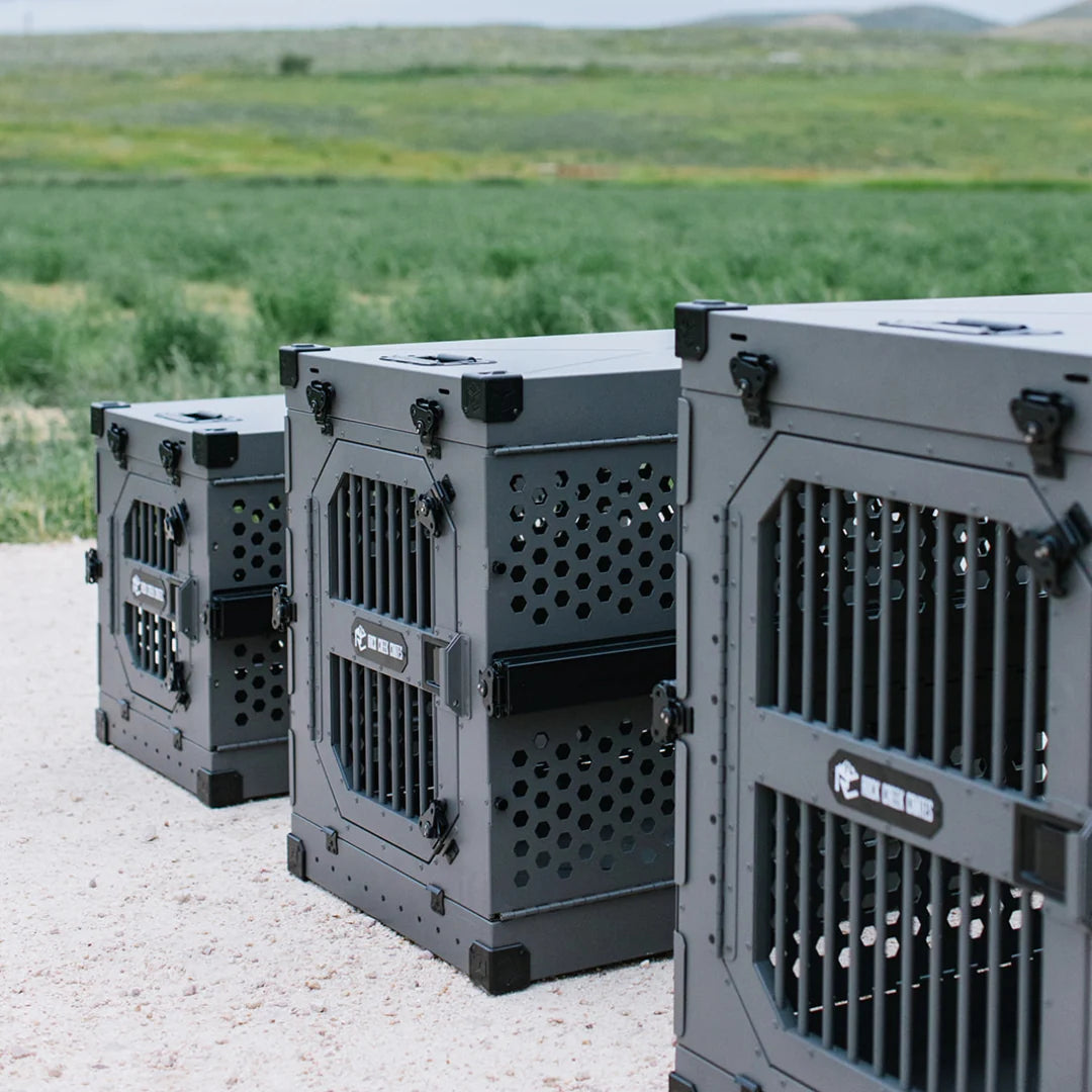 Collapsible Dog Crate 30